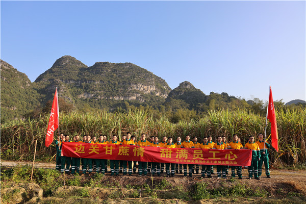 邊關(guān)甘蔗情，“甜”滿員工心—崇左紅獅助海外員工家屬收甘蔗